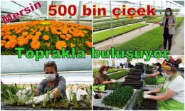 Mersin Büyükşehir 500 Bin Çiçeği Toprakla Buluşturuyor