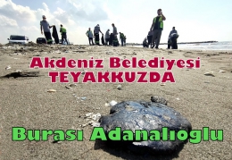 Adanalıoğlu Sahiline Vuran Petrol Atıklarını Akdeniz Belediyesi Temizledi