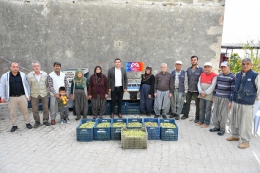Mersin Büyükşehir'den Üreticilere 2 Zeytin Boylama Makinesi Daha