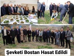Şevketi Bostan Ürünü Hasad Edildi