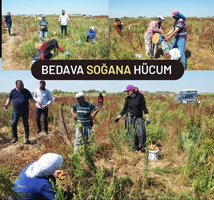 Tarsus'ta Bedava Soğana Hücum