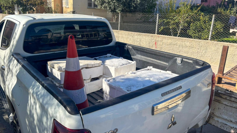 Tarsus'ta Sağlığı Tehdit eden 250 kilo Balık İmha Edildi