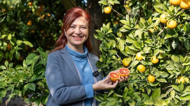 Mersin KAN PORTAKALI Coğrafi İşaret Aldı