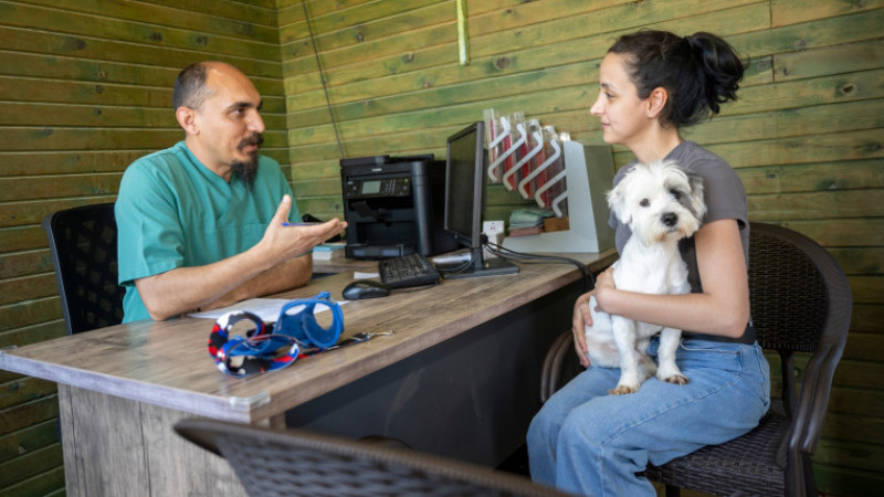 Mersin Büyükşehir Belediyesi 2 Bin 500 Kedi ve Köpeği Sahiplendirdi