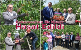 KARAOĞLU, Bölgenin İLK Turfanda Kirazını Hasat Etti