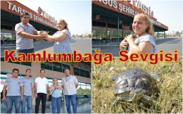 Nilüfer Hocanın Kaplumbağasına Kavuşma Sevinci