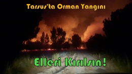 Tarsus Karabucak Ormanlığında 2 Hektar alan yandı