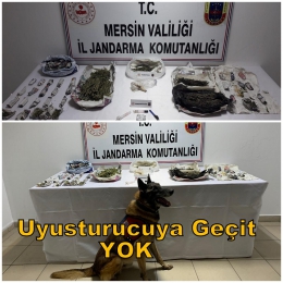 Arama köpekleri Çaylak ve Dünya gösterdi, jandarma yakaladı