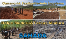 Orman Bölge Müdürü Tarsus’ta ormancılık çalışmalarını inceledi