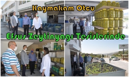 Tarsus Kaymakamı Otcu, EFSUS Zeytinyağı tesislerini inceledi