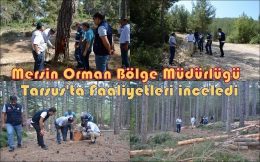 Mersin Orman Bölge Müdürlüğü Tarsus'ta Faaliyetleri İnceledi