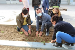 Tarsus Ticaret Borsası Hayriye Biber Fidesi Dikti