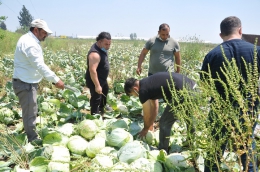 Tarsus Belediyesi’nin Dayanışma Ağına Üretici Desteği