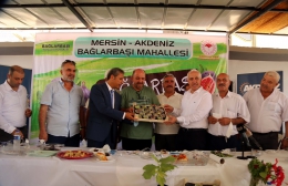 Bağlarbaşı’nda Sezonun İlk Siyah İncir Hasadı Şenliği
