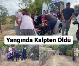 Çamlıyayla’da çıkan yangın kalp krizine neden oldu, hayatını kaybetti