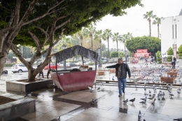 Tarihi Uluçarşı'ya Yeni Bir Güvercin Evi