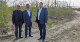 Tarsus’ta 3 günlük DON Zararı 82 Milyon TL