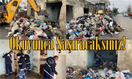 Tarsus’ta bir evden 3 kamyon çöp çıkarıldı