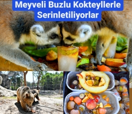 Tarsus Doğa Parkı’nın Sevimli sakinleri Meyveli Buzlu kokteyllerle serinletiliyor