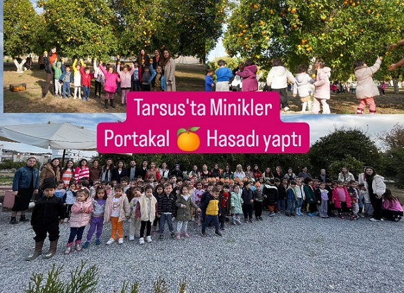 Tarsuslu minikler Tarım yaşam alanında Portakal hasadı yaptı