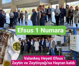 Tarsus’un Kardeş Şehri Valankeş Belediye Başkanı Efsus Tesislerine Hayran Kaldı