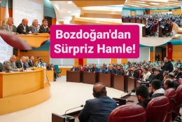 Bozdoğan, Galericileri Yanına Alıp, Meclis'e 