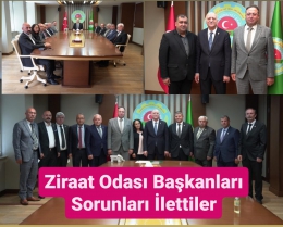 Veyis Avcı ve Mersin'deki Başkanlar Sorunları Bayraktar'a İletti