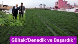 Başkan Gültak: