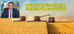 Veyis Avcı, Buğday Taban Fiyatının Biran Önce Açıklanmasını İstedi