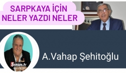 Usta Gazeteci, Usta Siyasetçi ve İşte O Yazı