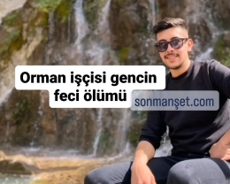 Tarsus Boğazpınar'da üzerine tomruk düşen orman işçisi öldü