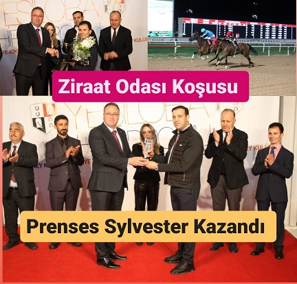 Tarsus Ziraat Odası Başkanlığı Koşusu'nu Prenses Sylvester kazandı