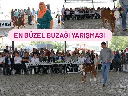 Tarsus’ta En Güzel Buzağı Çiftlik Köyünden