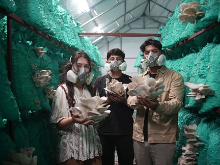 Tarsus Belediyesi Mantar Kursları İş İnsanı Yetiştiriyor