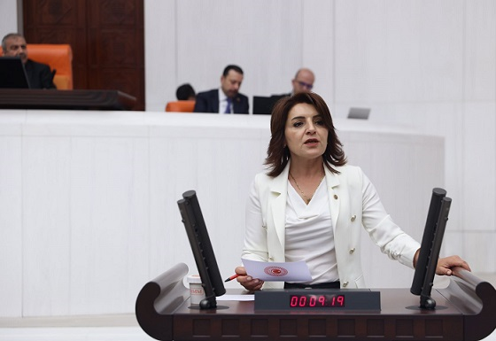 Gülcan Kış, Pamukluk Barajı'nı Mercek Altına Aldı