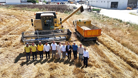 Tarsus Belediyesi'nin Yerli Tohum Buğdayları Filizlendi