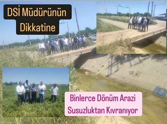 DSİ Uyuma : Binlerce Dönüm arazi Susuzluktan Kıvranıyor