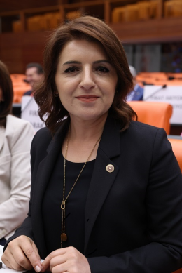   Gülcan Kış, Aydıncık Yat Limanının Durdurulmasını İstedi