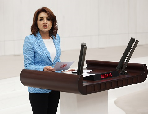 Gülcan Kış: Kiralar Artıyor, Ev Sahibi Kiracı Davaları Ağır Cezalık