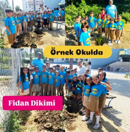 Tarsus Kerim Çeliktaş ilkokulunda Zeytin Fidan Dikim Etkinliği