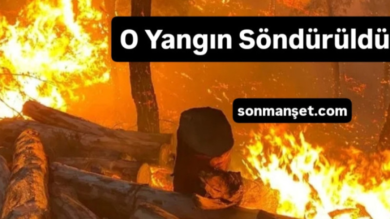 Tarsus Çamalan'da orman yangını söndürüldü