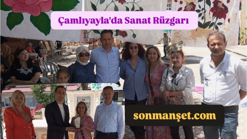 Usta Sanatçılar Çamlıyayla'da Sanat Rüzgarı etkinliğinde Fırtına gibi esti