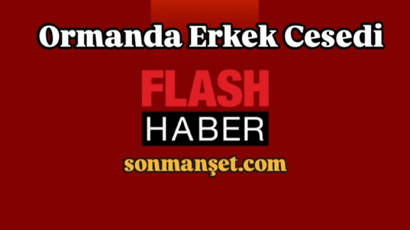 Tarsus Kaburgediği köyünde ormanlık alanda erkek cesedi bulundu