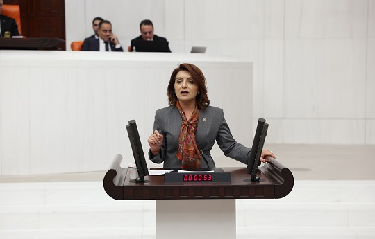 CHP’li Gülcan Kış: “TÜBİTAK’ta bilimi değil, keyfi yönetimi büyütüyorlar!”