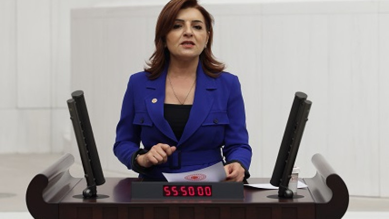 Gülcan Kış:
