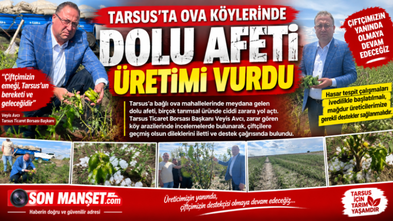 Tarsus'un Ova Köylerinde Ekili Alanlara Dolu Darbesi