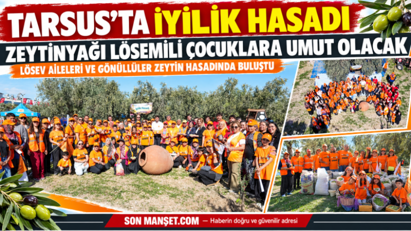 Tarsus'ta Zeytin Hasadı Lösemili Çocuklara Umut Olacak